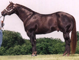Eldorado's Diablo Conformation