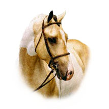 Draco, Eldorado Ranch