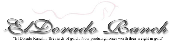Eldorado Ranch
