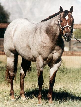 Western Impressive